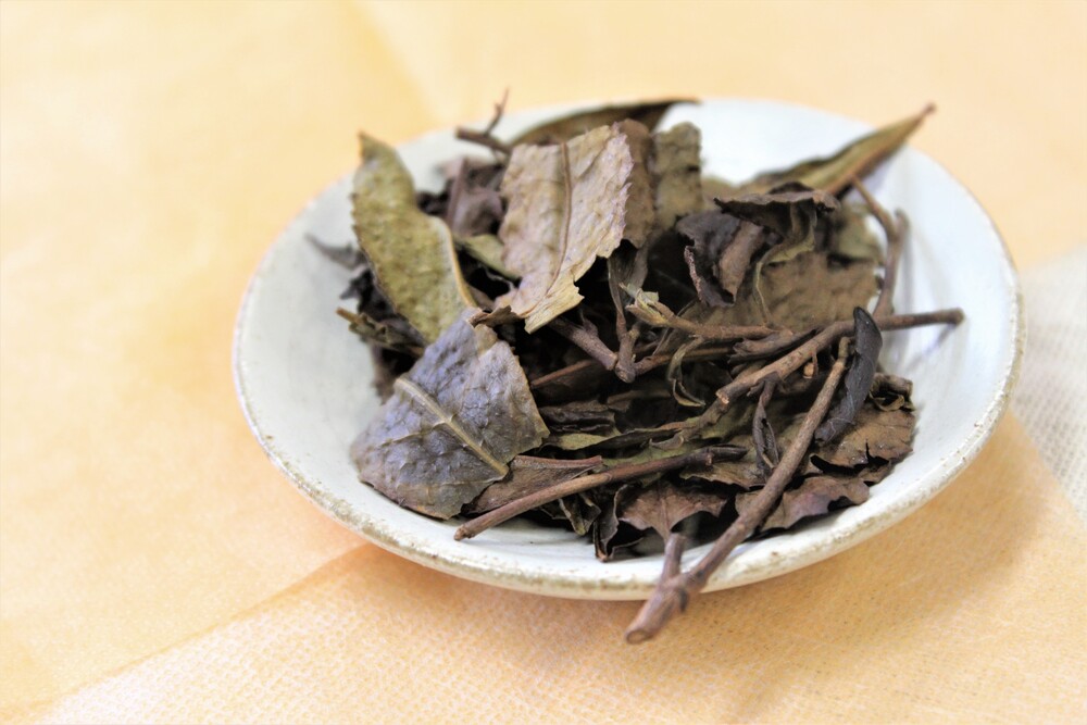 番茶を知ってほしい！　～山陰地方ならではのお茶文化～