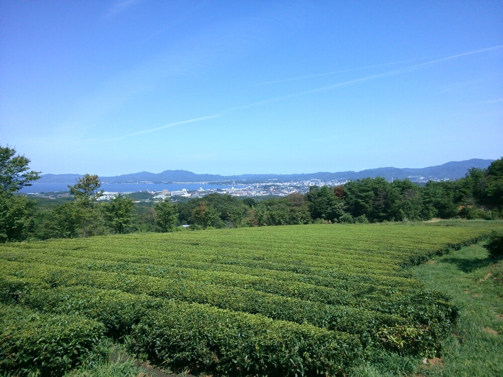 季節ごとに変化する松江の風景とともに、お茶づくりをお楽しみいただけます。